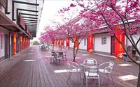宜蘭民宿 - 「櫻花渡假會館」主要建物圖片