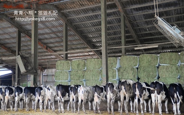 「四方鮮乳牧場」Blog遊記的精采圖片